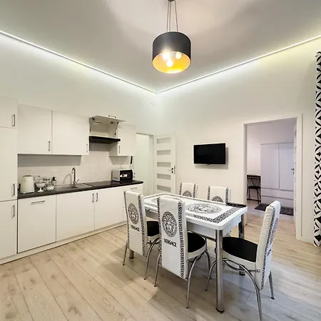 公寓 White & Black - Near Wawel Castle 克拉科夫
